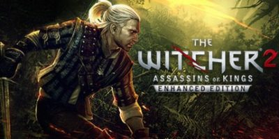 巫师2:刺客之王/The Witcher 2: Assassins of Kings-方舟游戏